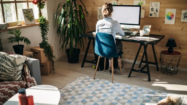 <?php echo pulse_output(); ?>